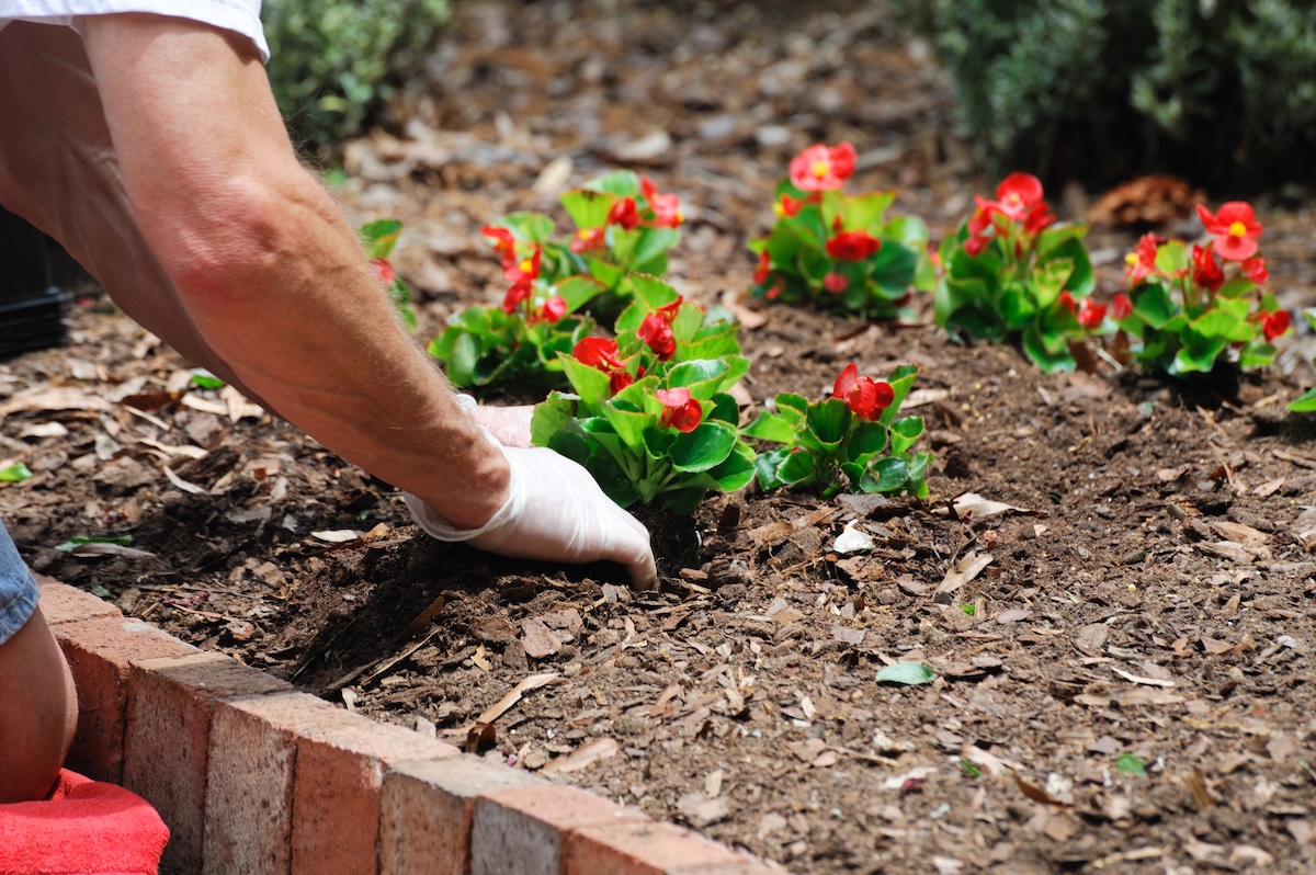 valley-maintenance-landscaping-3